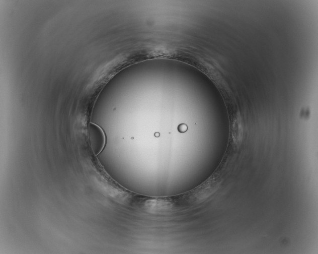 X0000111040714200906251402