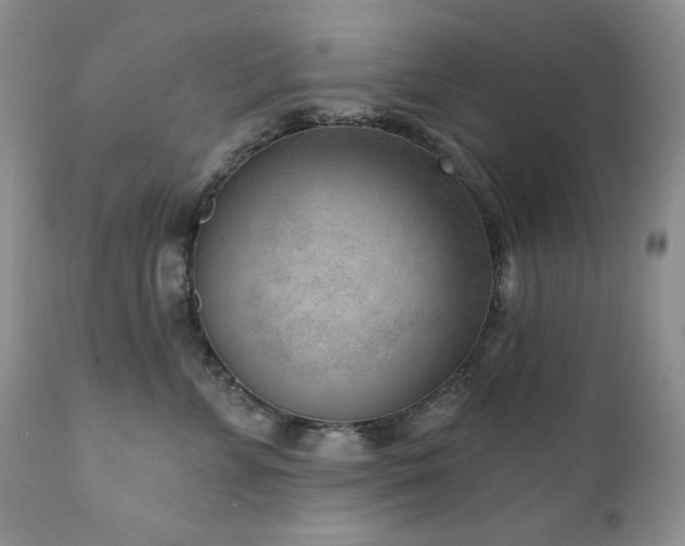 X0000111040715200906251402