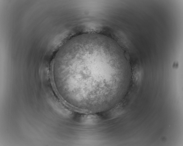 X0000111040716200906251402