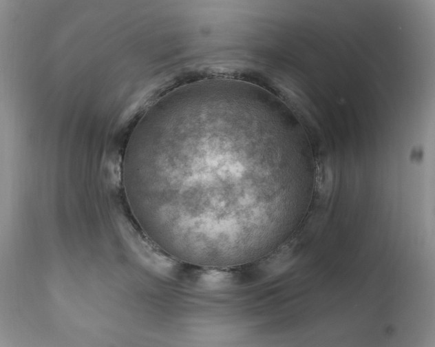 X0000111040718200906251402