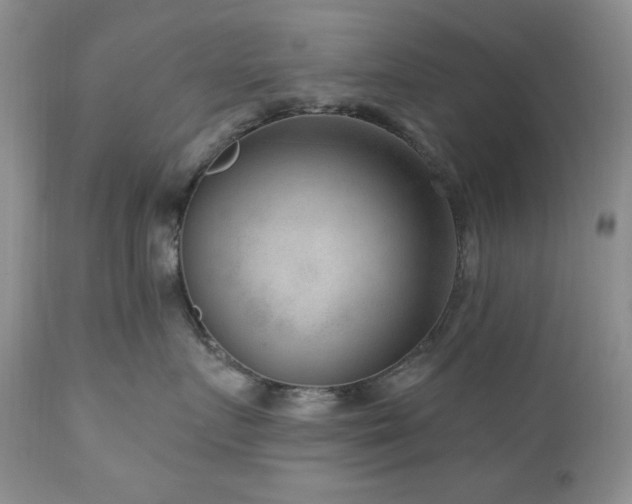 X0000111040719200906251402