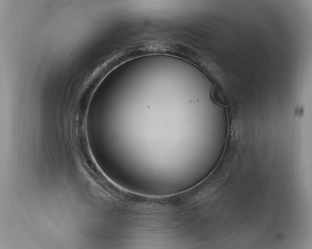 X0000111040722200906251401