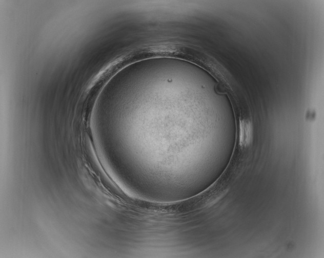 X0000111040723200906251401