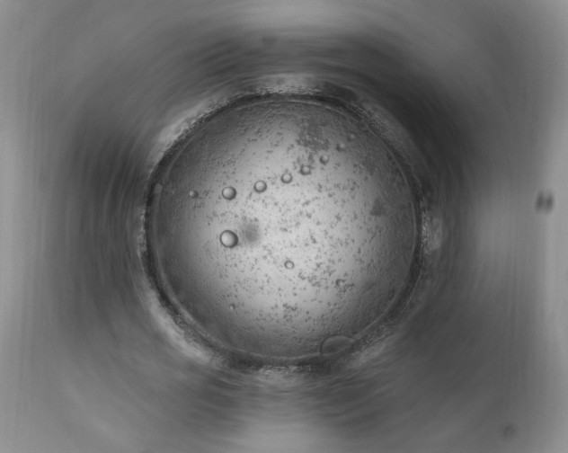 X0000111040725200906251401