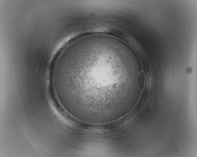 X0000111040726200906251401