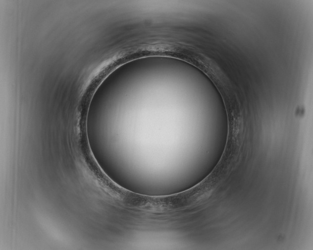 X0000111040727200906251401