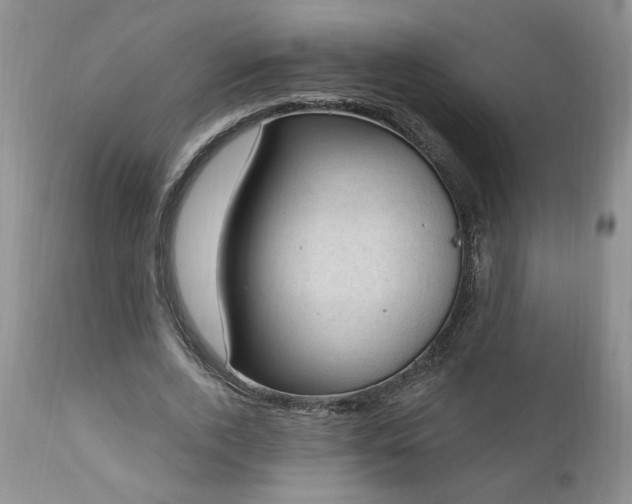 X0000111040728200906251401
