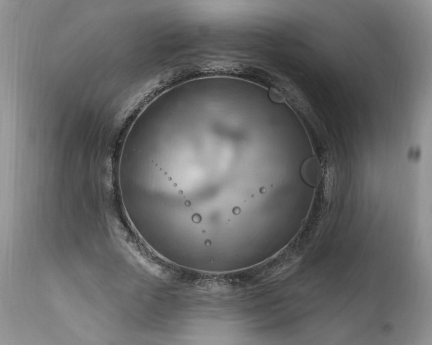 X0000111040729200906251401