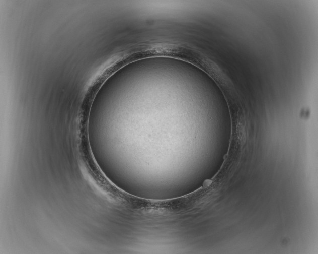 X0000111040730200906251401