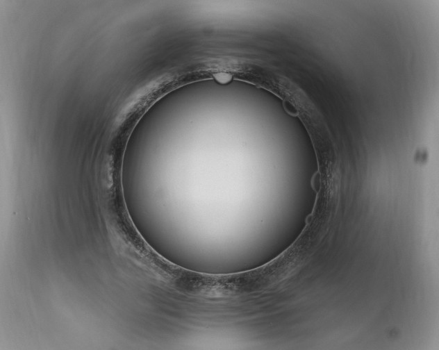 X0000111040731200906251401