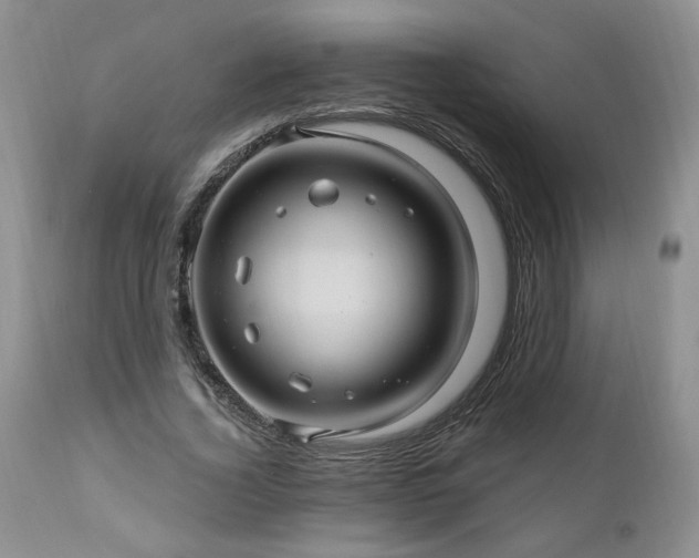 X0000111040732200906251401
