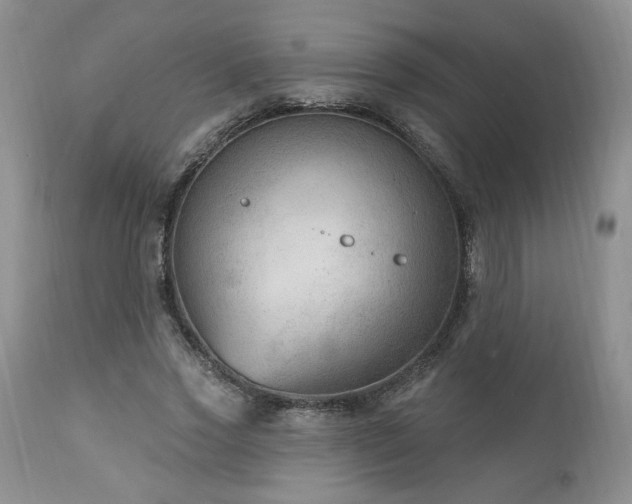 X0000111040733200906251401