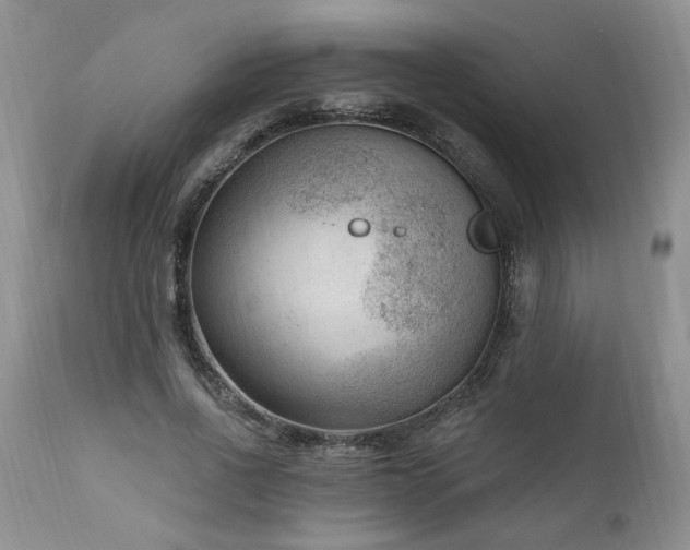 X0000111040734200906251401