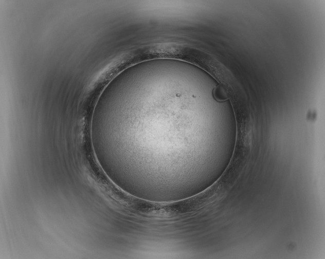 X0000111040735200906251401