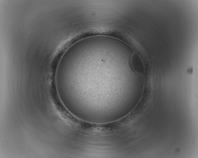 X0000111040736200906251401