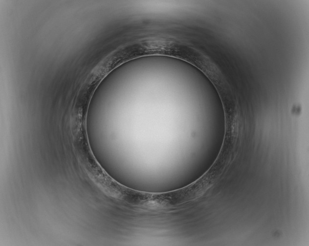 X0000111040737200906251401