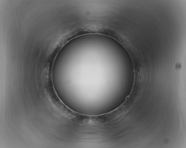 X0000111040739200906251401