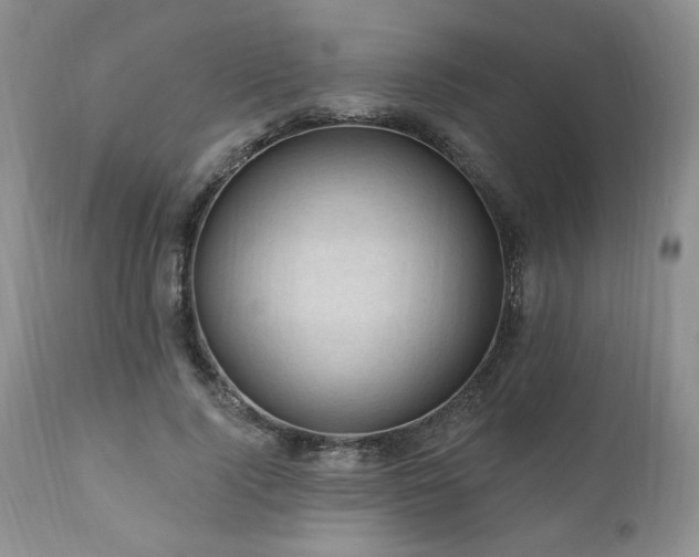 X0000111040740200906251401