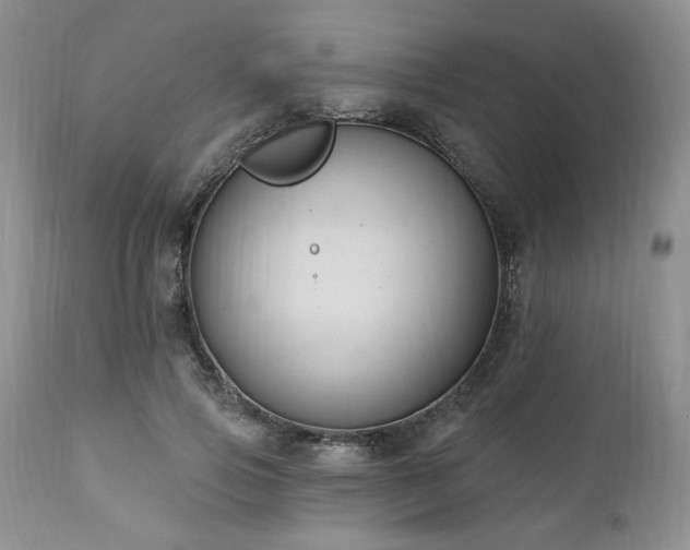 X0000111040741200906251401