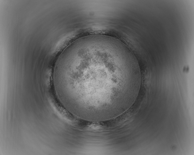 X0000111040742200906251401