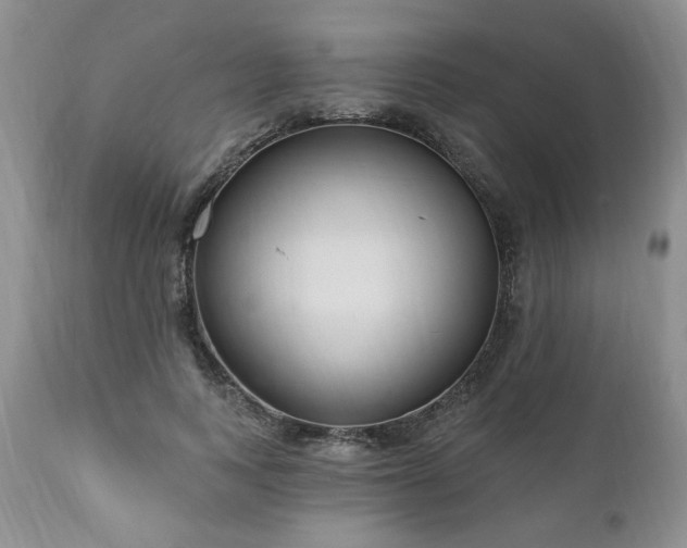 X0000111040743200906251401