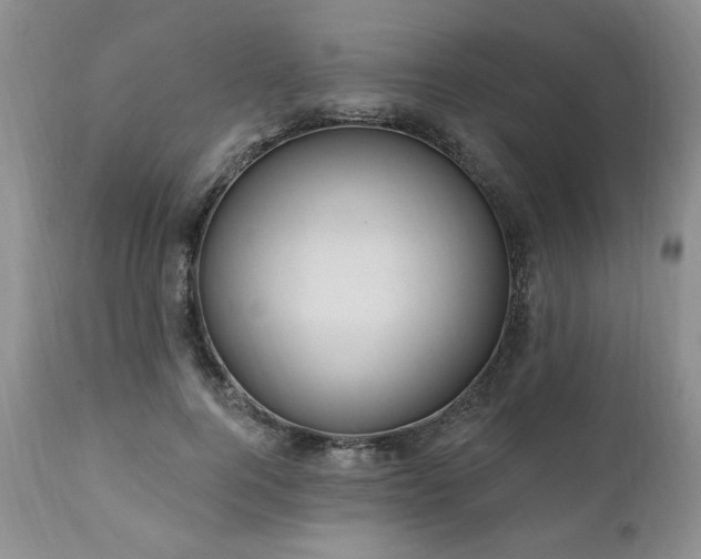 X0000111040744200906251401