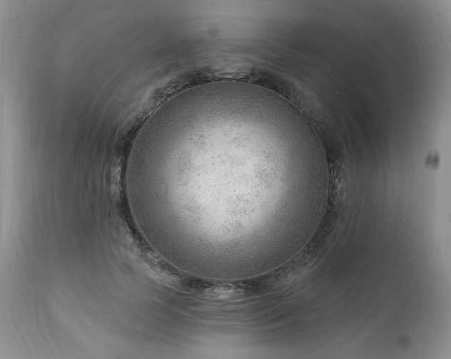 X0000111040745200906251401
