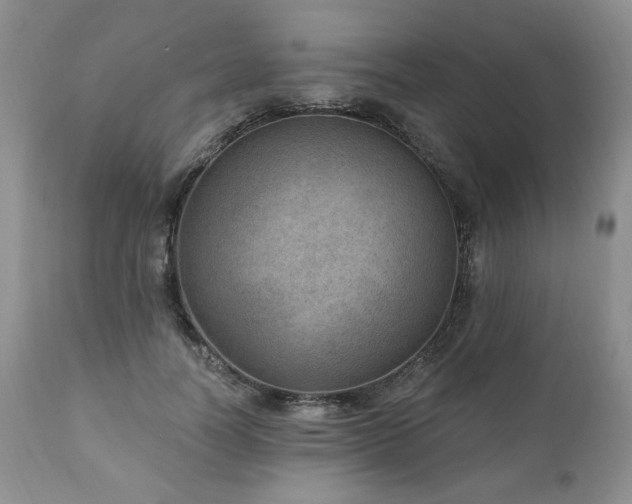 X0000111040746200906251401