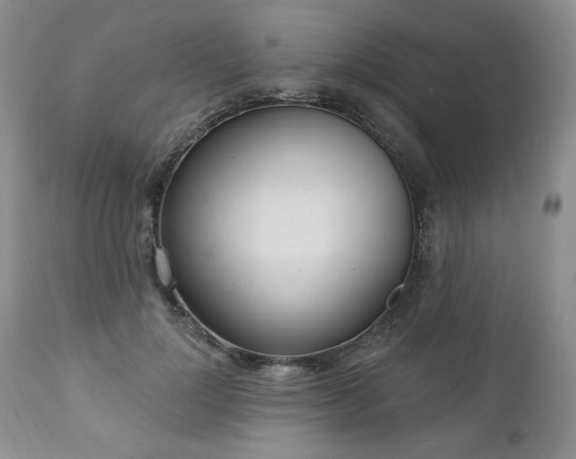 X0000111040748200906251401