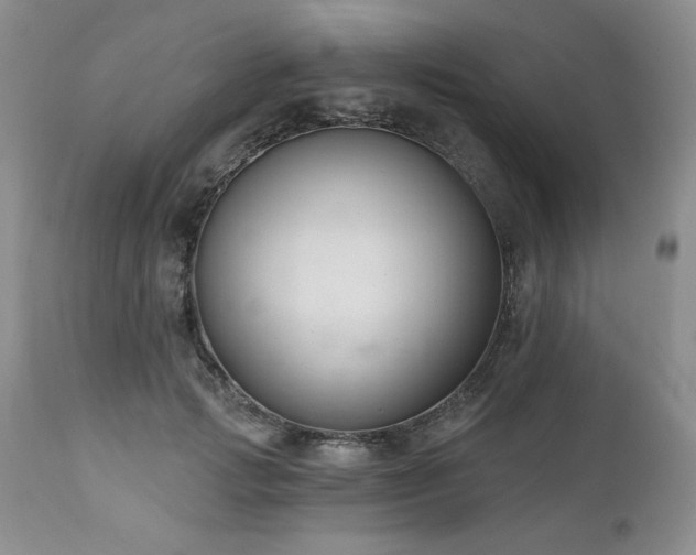 X0000111040749200906251401
