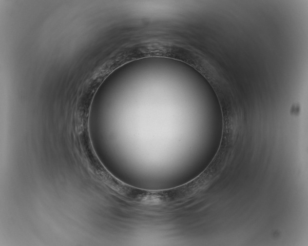 X0000111040751200906251401