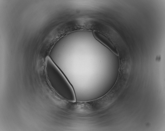 X0000111040752200906251401