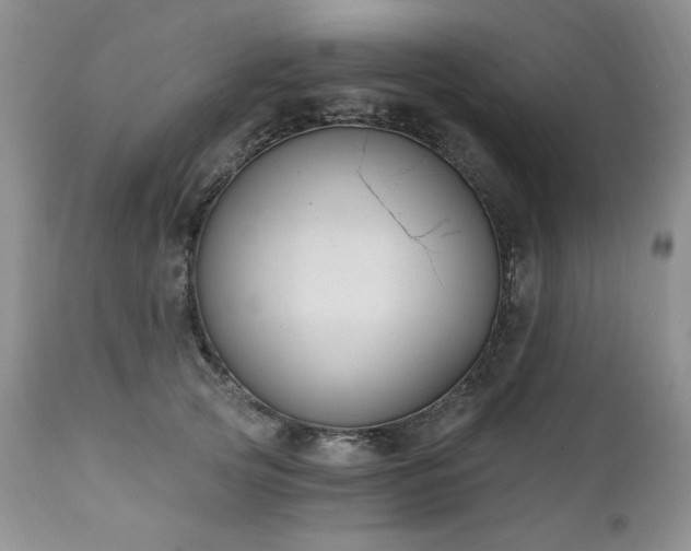 X0000111040753200906251401
