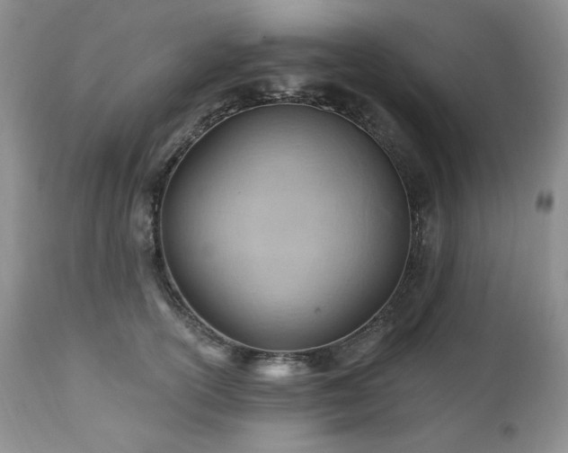X0000111040754200906251401
