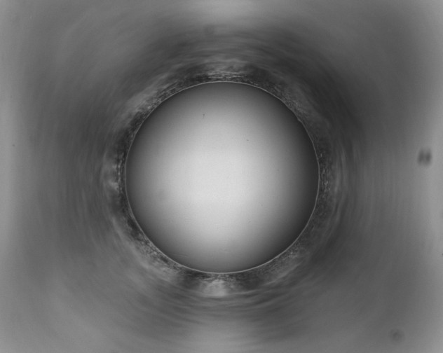 X0000111040755200906251401