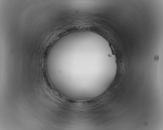 X0000111040756200906251401
