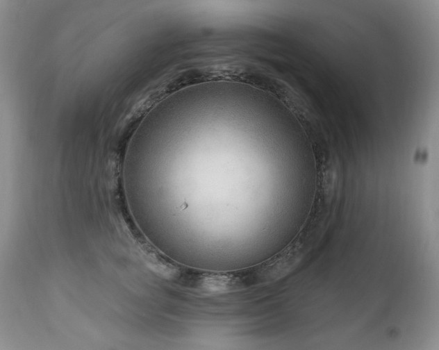 X0000111040757200906251401