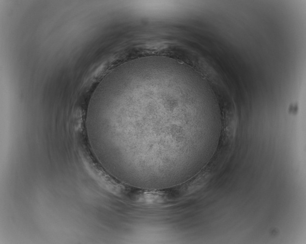 X0000111040758200906251401