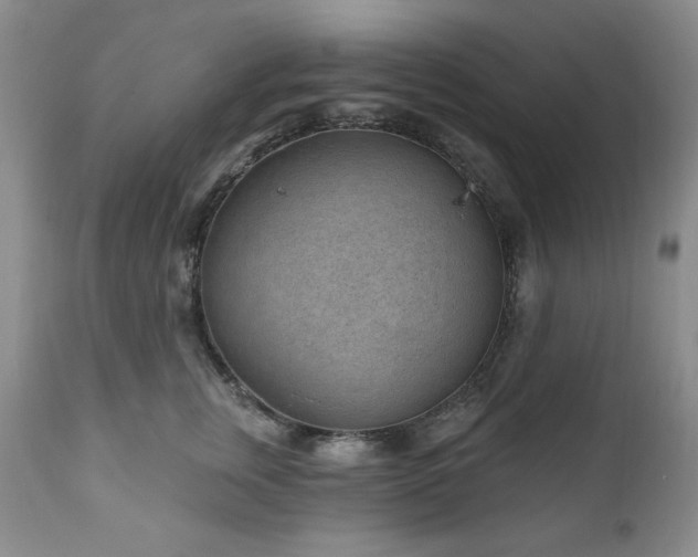 X0000111040759200906251401