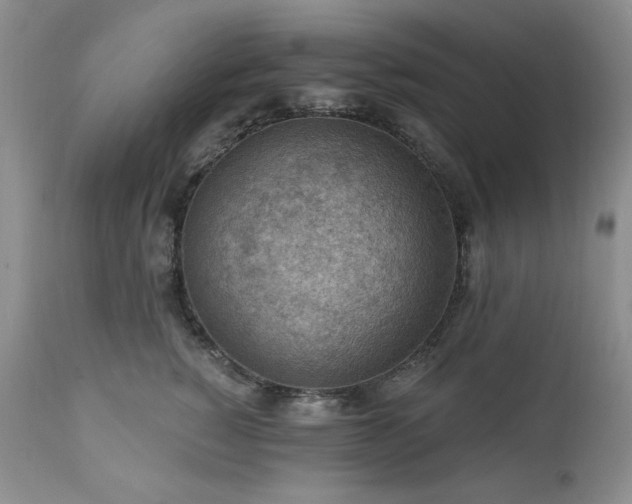 X0000111040760200906251402