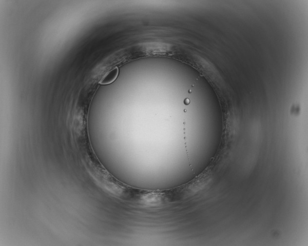 X0000111040761200906251402