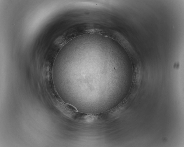 X0000111040762200906251402