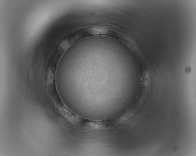 X0000111040763200906251402