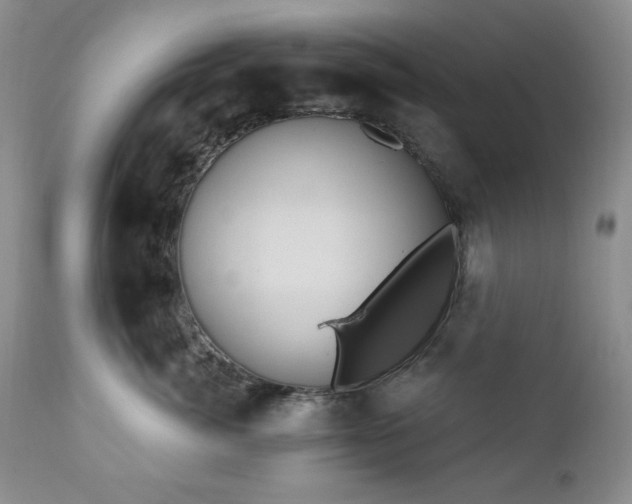 X0000111040764200906251402