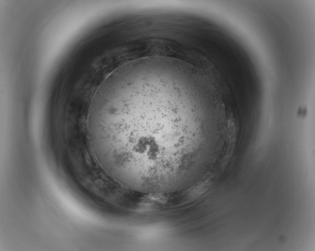 X0000111040765200906251402