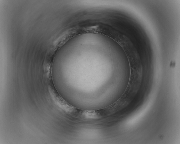X0000111040767200906251402