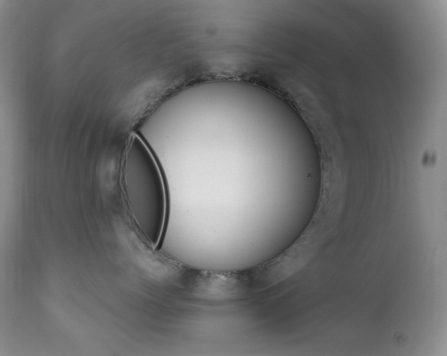 X0000111040768200906251402