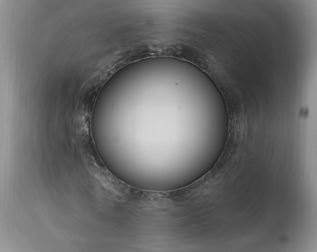 X0000111040770200906251401