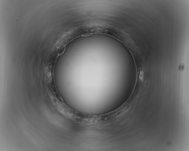 X0000111040771200906251401