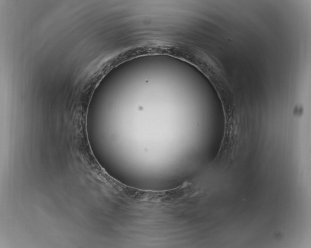 X0000111040773200906251401
